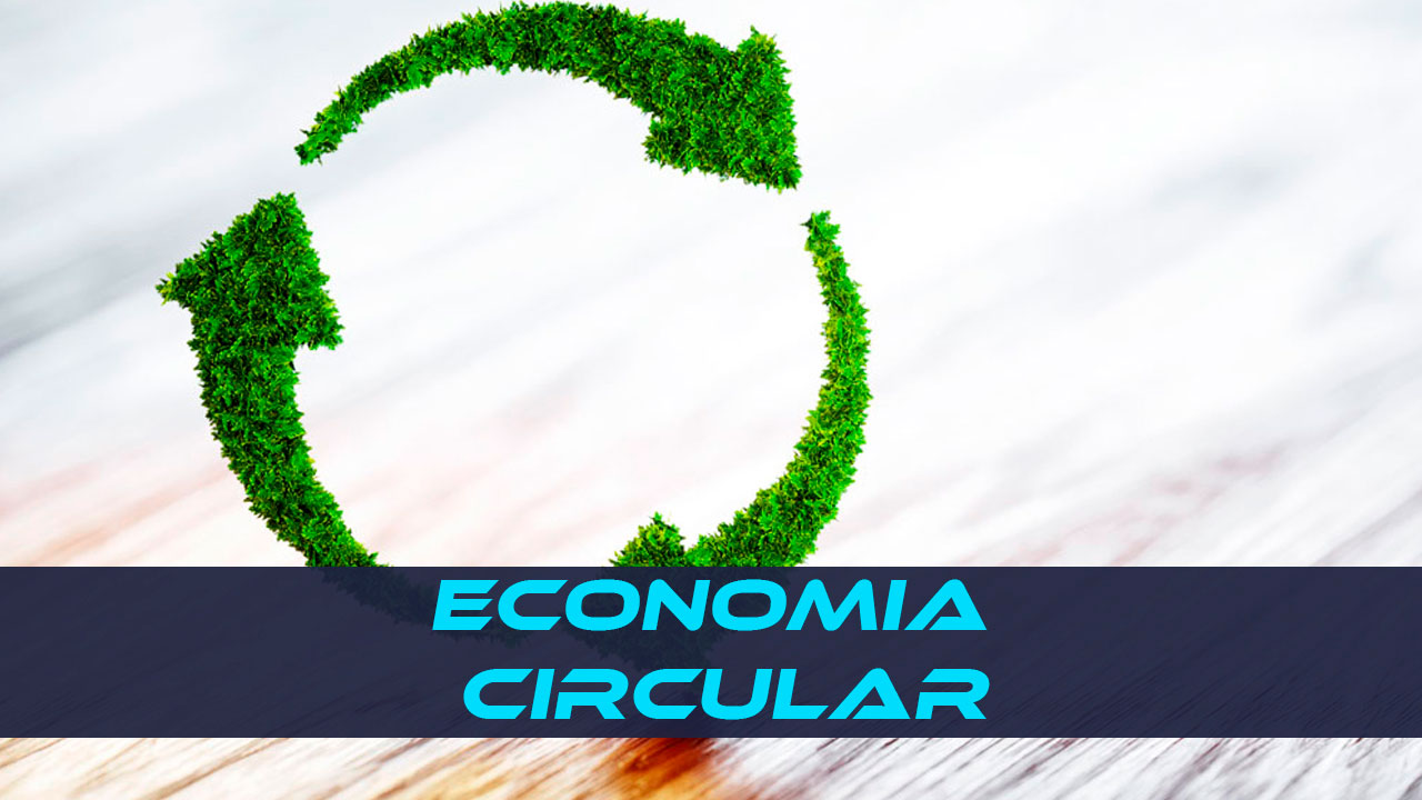 que es la economía circular